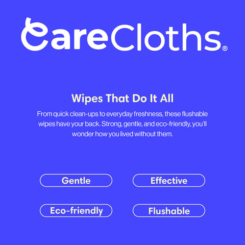 Flushable Wipes (12-Pack / 720 Wipes)