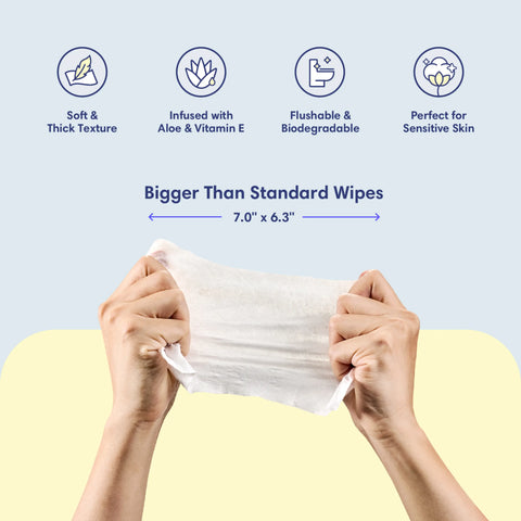 Flushable Wipes (12-Pack / 720 Wipes)